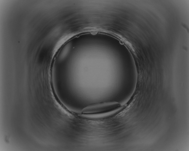 X0000093221239200709261625