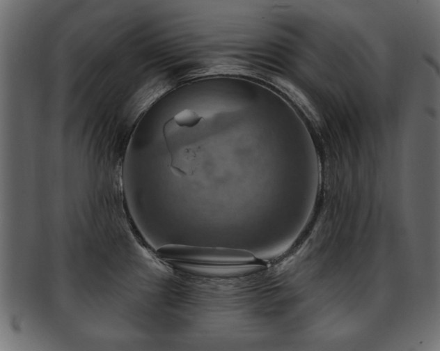 X0000093221241200709261625