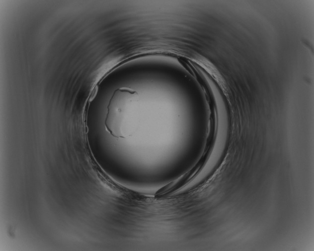 X0000093221242200709261625
