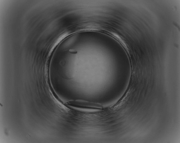 X0000093221243200709261625