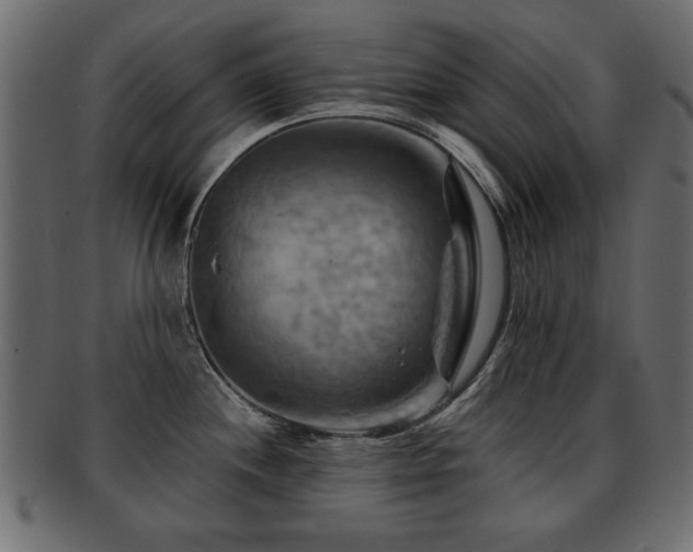 X0000093221244200709261625