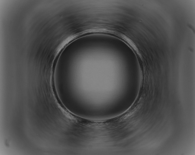X0000093221245200709261625