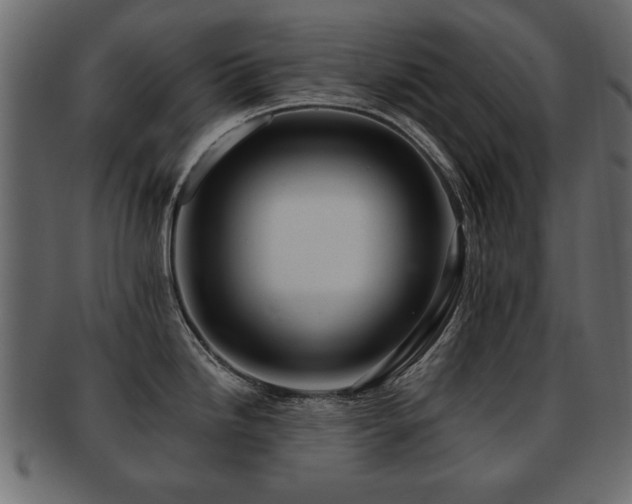 X0000093221246200709261625