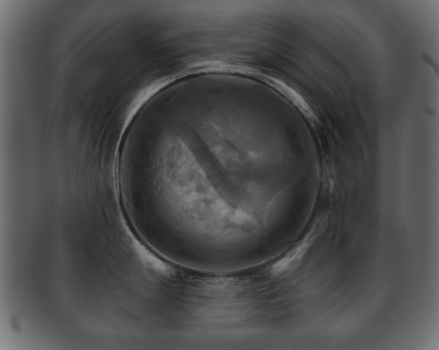 X0000093221247200709261625