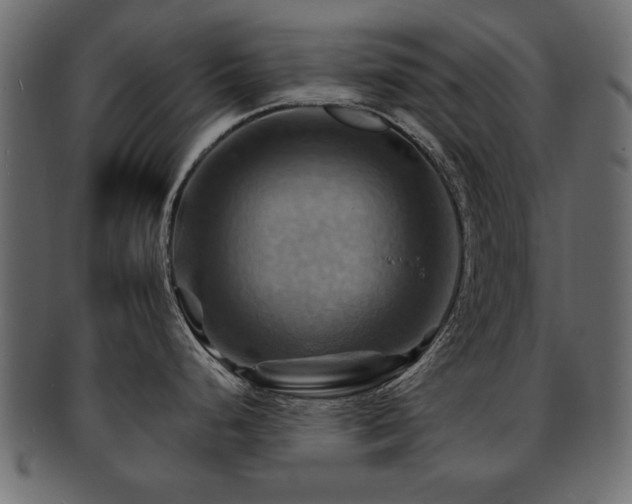 X0000093221248200709261625