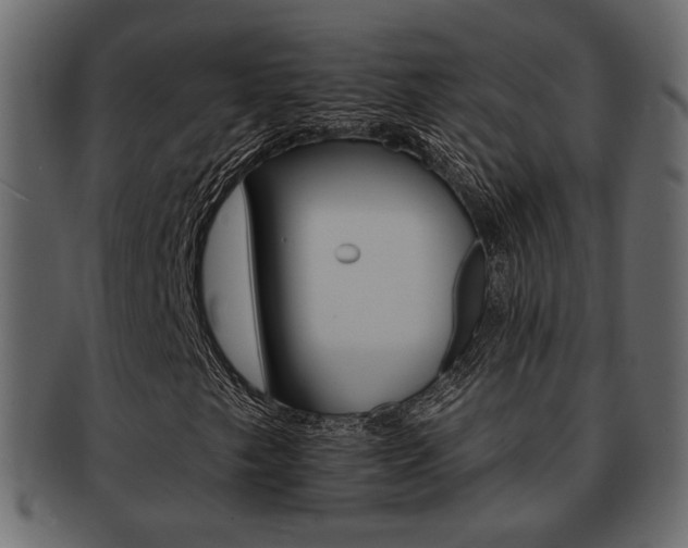 X0000093221249200709261625