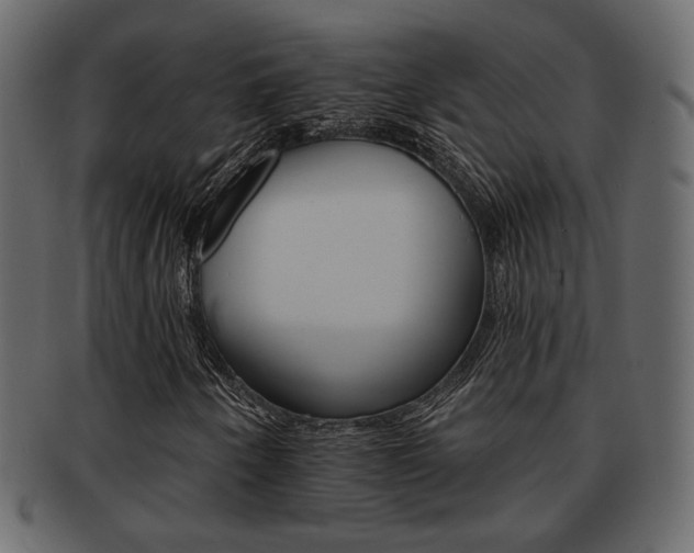 X0000093221250200709261625