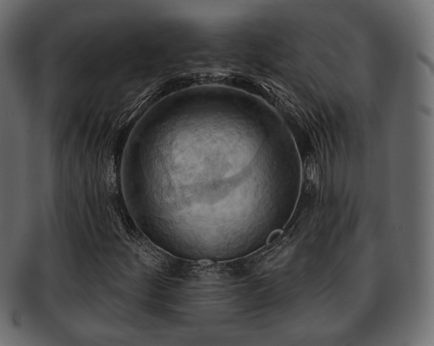 X0000093221252200709261625