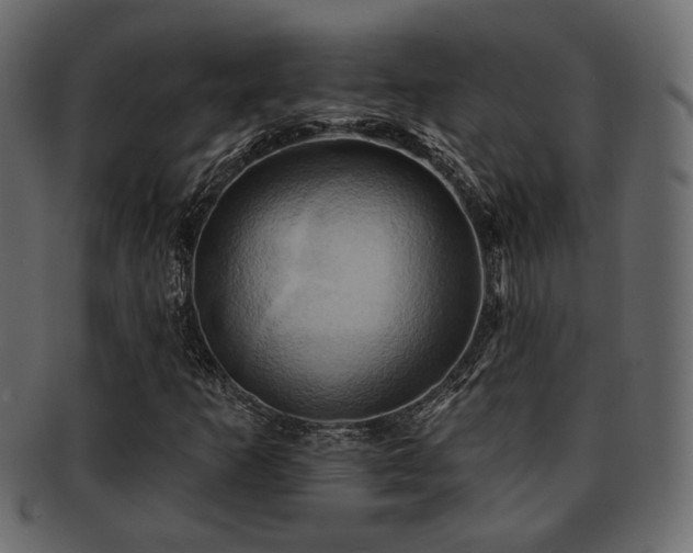 X0000093221253200709261625