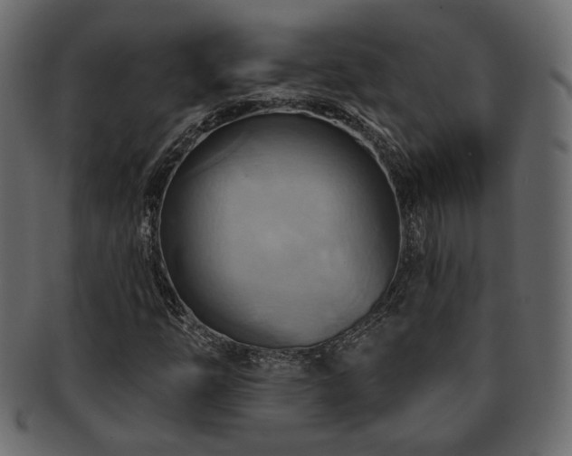 X0000093221254200709261625