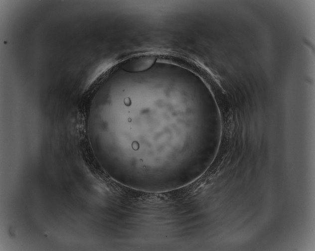 X0000093221255200709261625