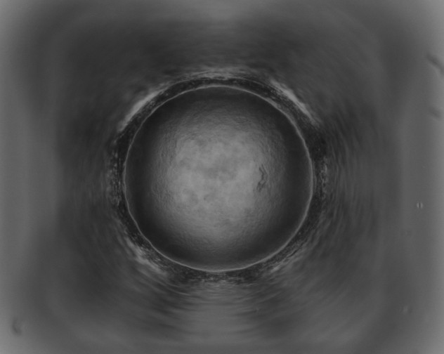X0000093221256200709261625