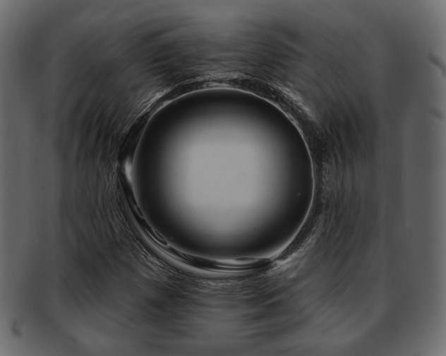 X0000093221257200709261625