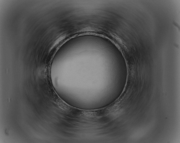 X0000093221258200709261624