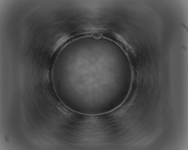 X0000093221259200709261624