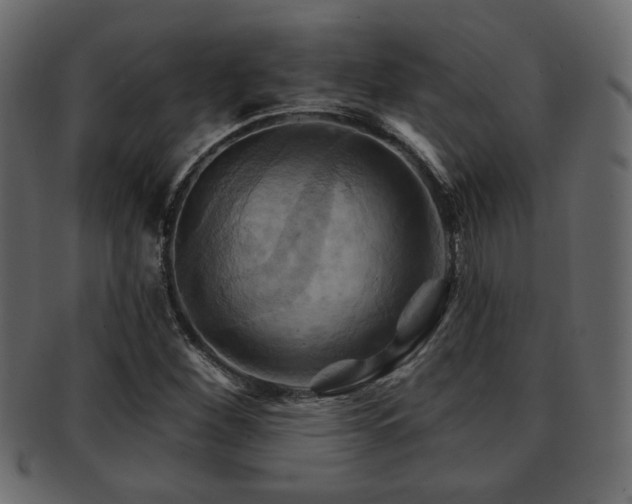 X0000093221260200709261624