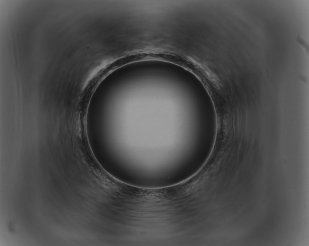 X0000093221262200709261624