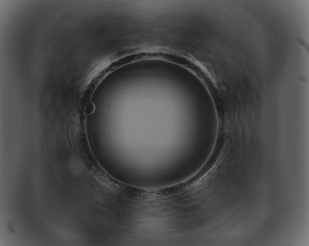X0000093221263200709261624