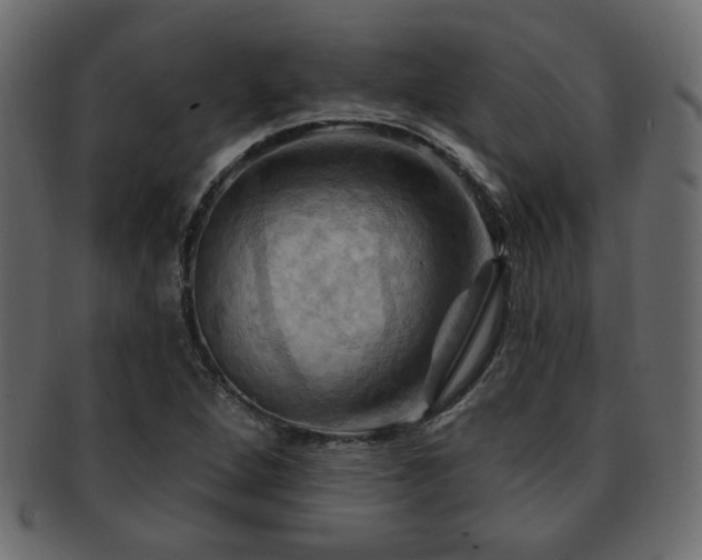 X0000093221264200709261624