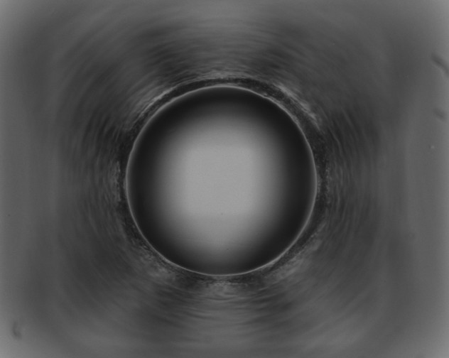 X0000093221265200709261624