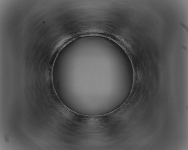X0000093221266200709261624