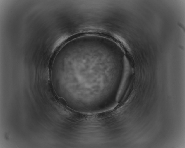 X0000093221267200709261624