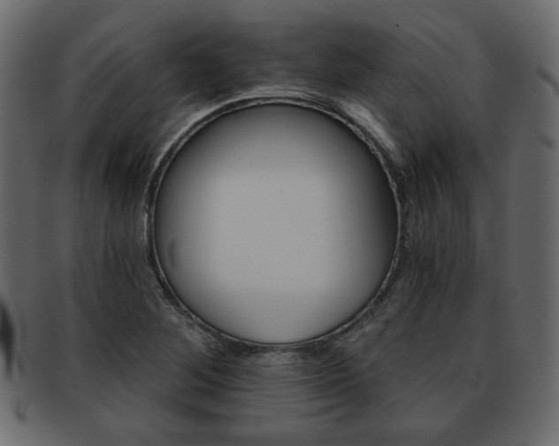 X0000093221268200709261624