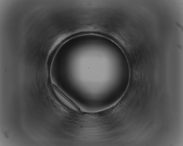 X0000093221270200709261624