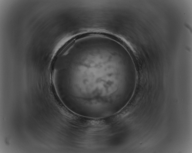X0000093221271200709261624
