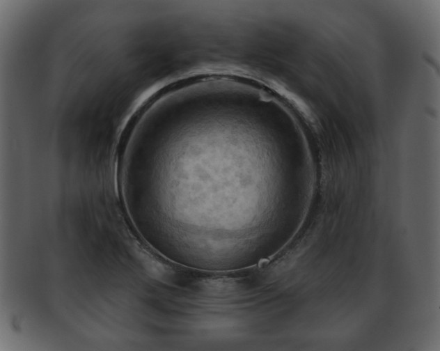 X0000093221272200709261624