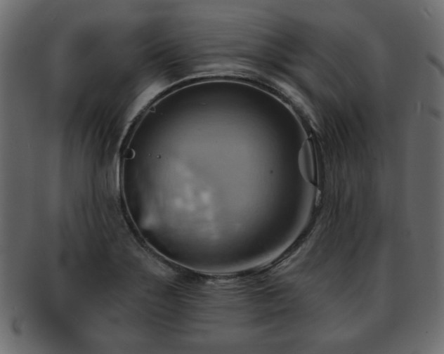 X0000093221275200709261624