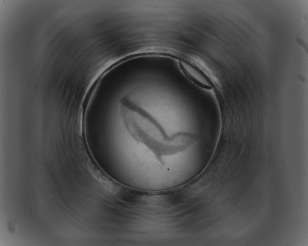 X0000093221276200709261624