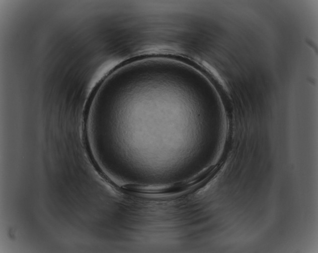 X0000093221277200709261624