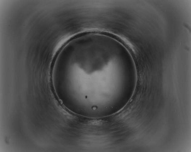X0000093221279200709261624