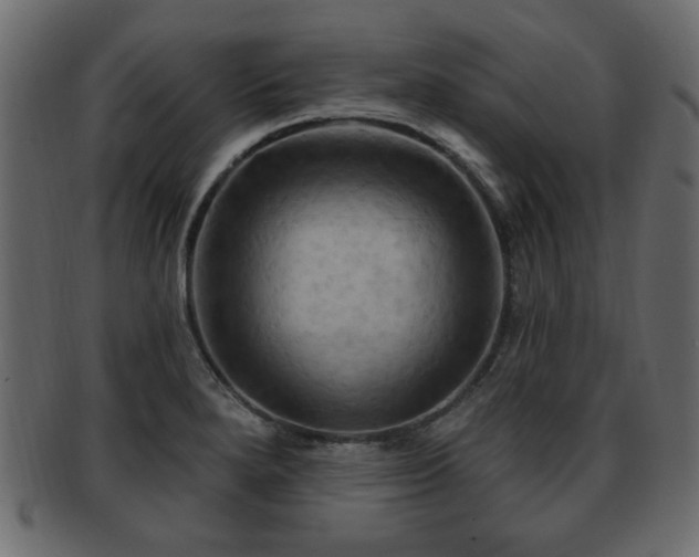 X0000093221280200709261624