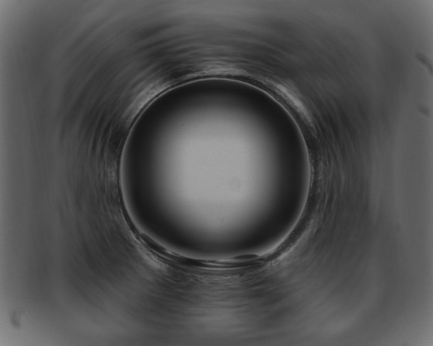 X0000093221281200709261624