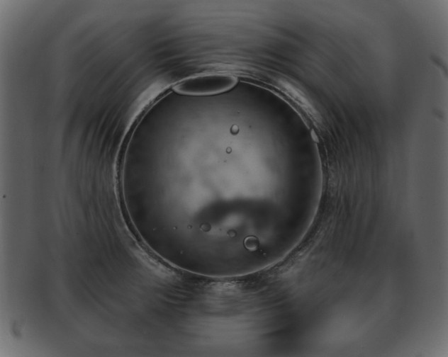 X0000093221283200709261624