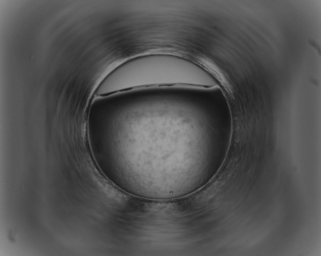 X0000093221284200709261624