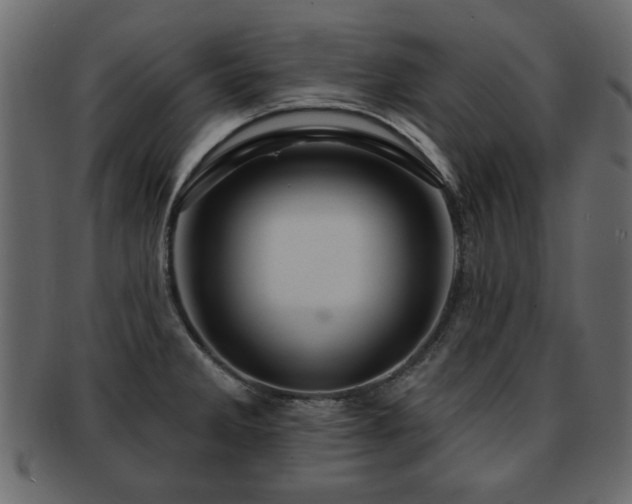 X0000093221285200709261624