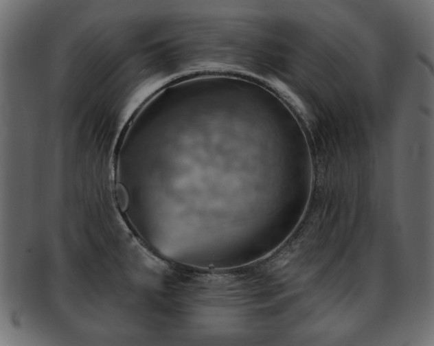 X0000093221287200709261624