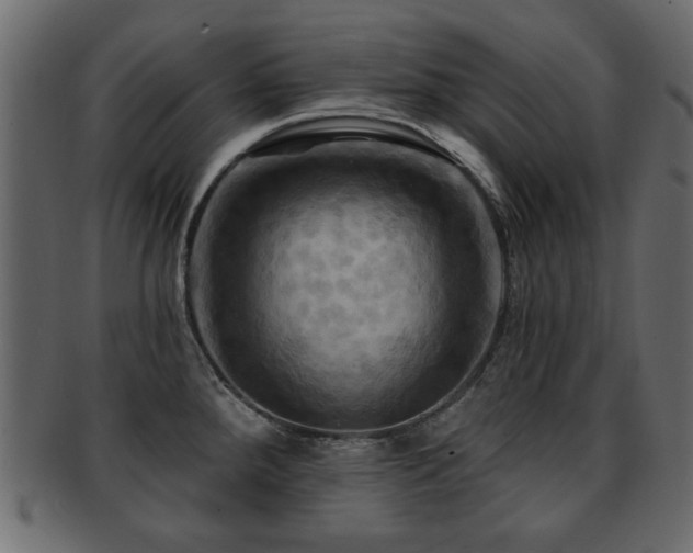X0000093221288200709261624