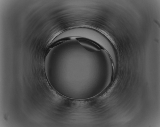 X0000093221289200709261624
