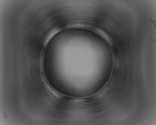 X0000093221290200709261624