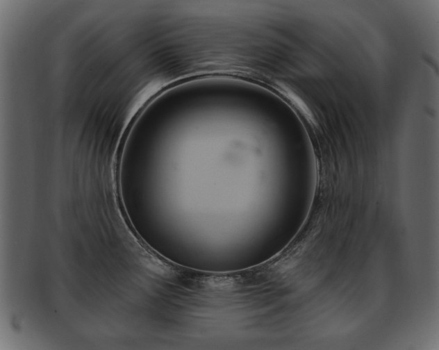 X0000093221291200709261624