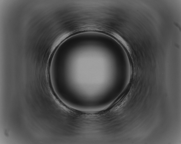 X0000093221293200709261624
