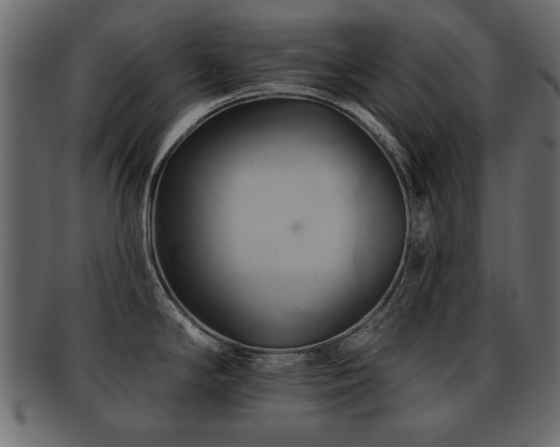 X0000093221294200709261624