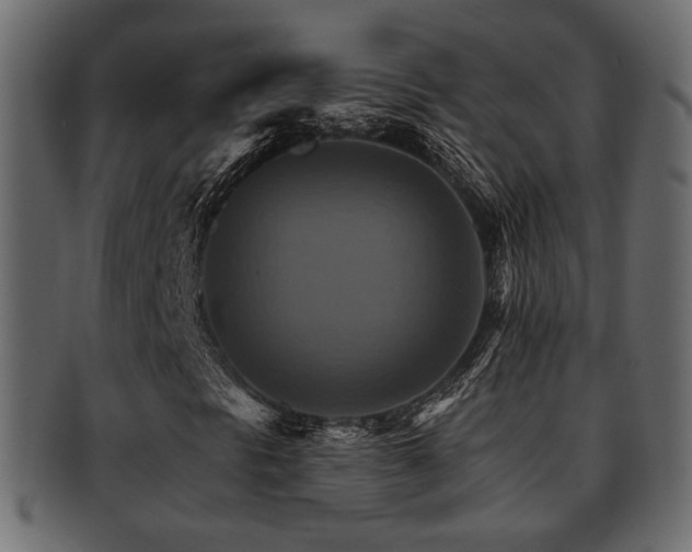 X0000093221297200709261623