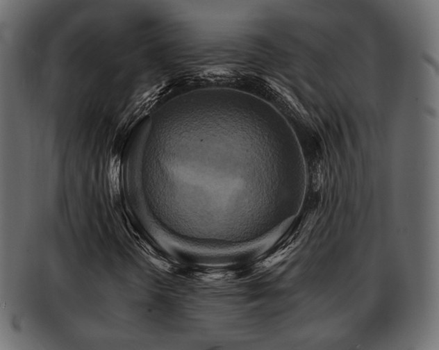 X0000093221298200709261623