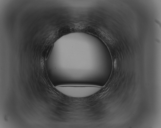 X0000093221299200709261624