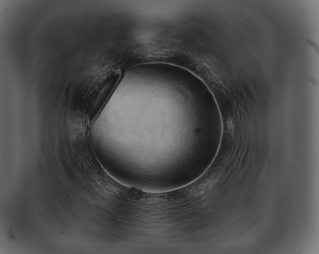 X0000093221300200709261624